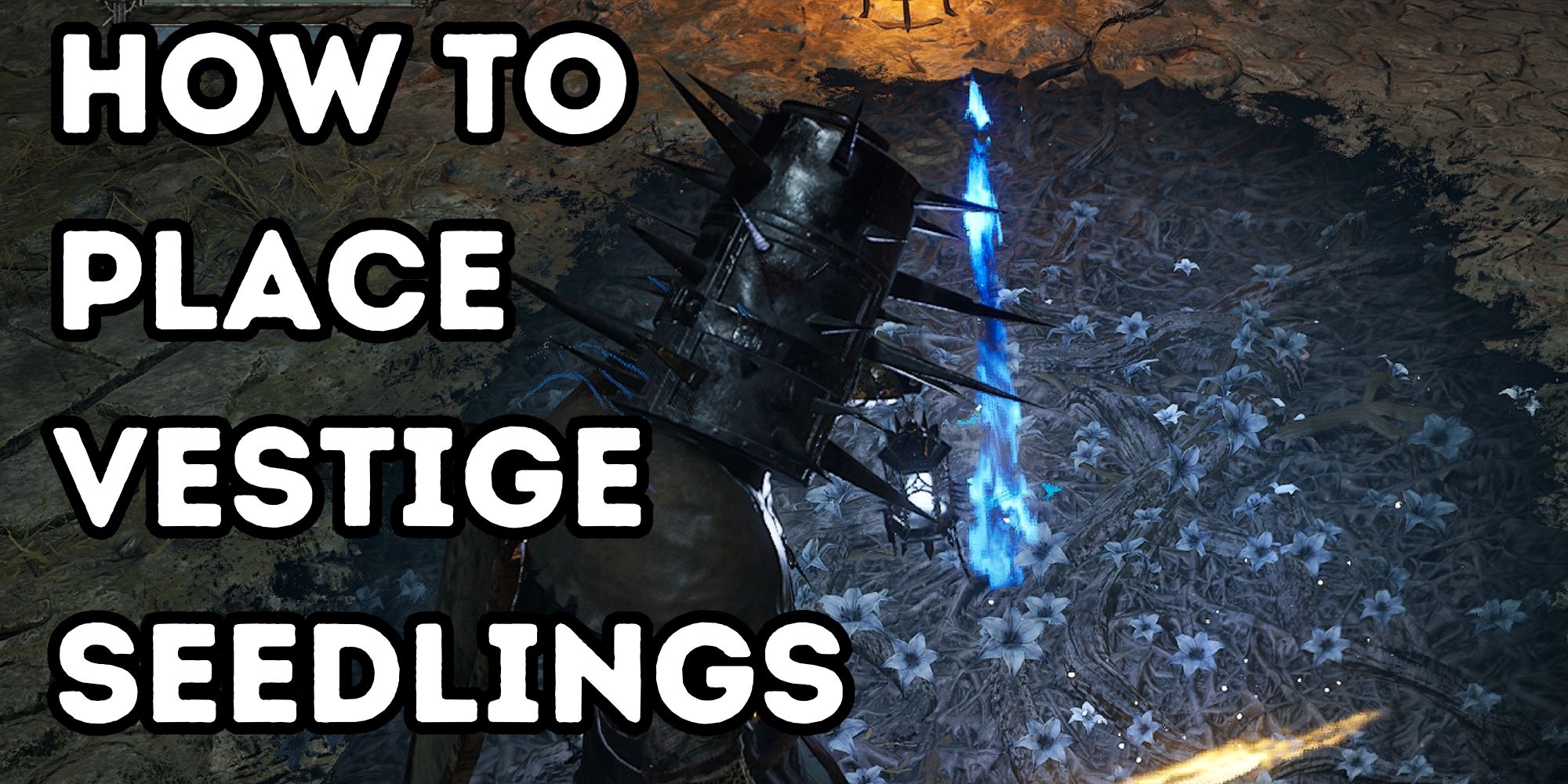 Lords Of The Fallen How To Place Vestige Seedlings