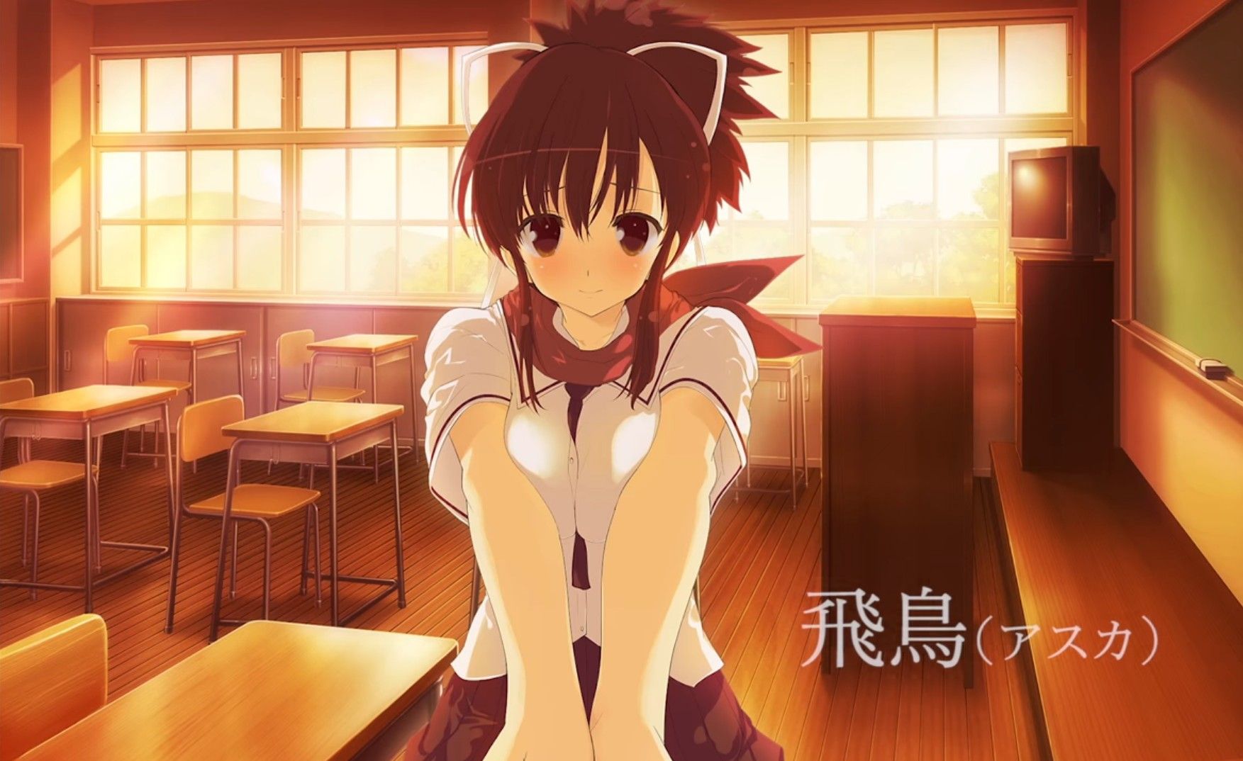 Nintendo Switch Exclusive ShinobiRefle Senran Kagura Will be a