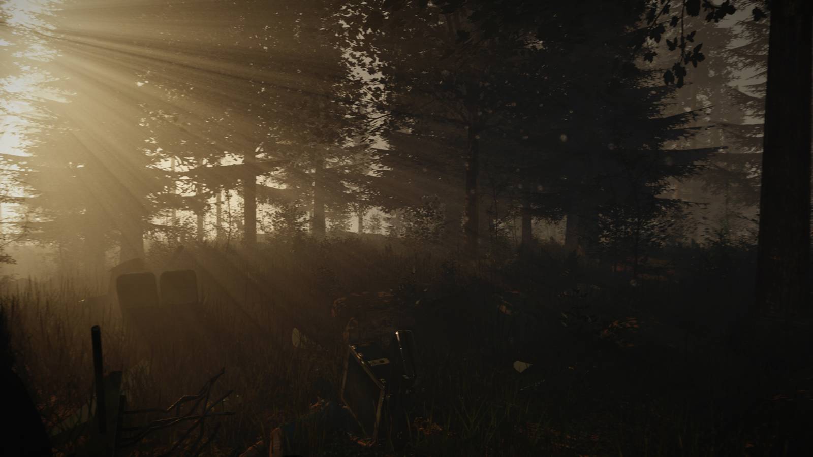 The Forest Has an Official PC Release Date After Four Years of Early Access