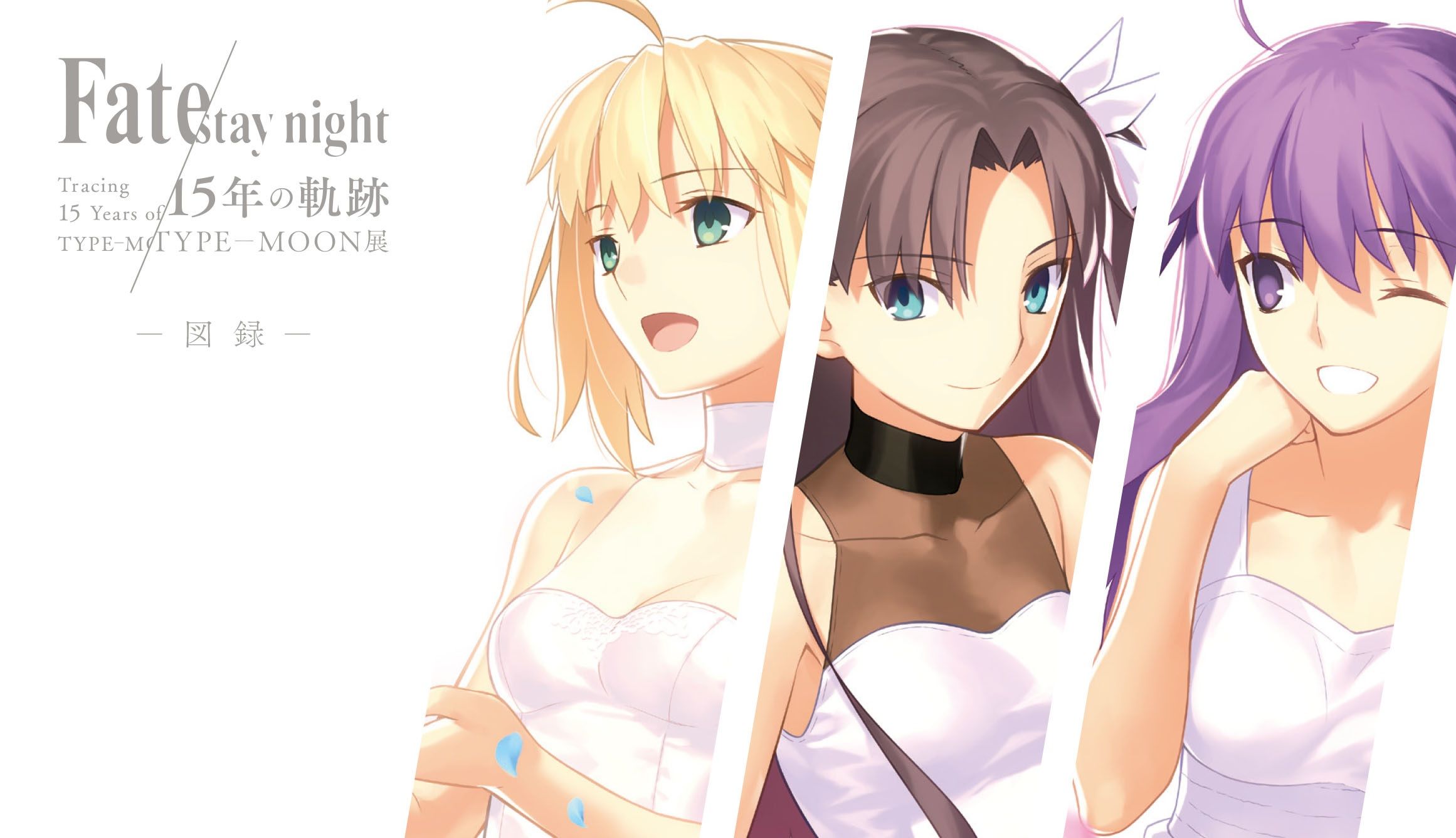 Type-Moon Announces Fate/stay night 15th Anniversary Book