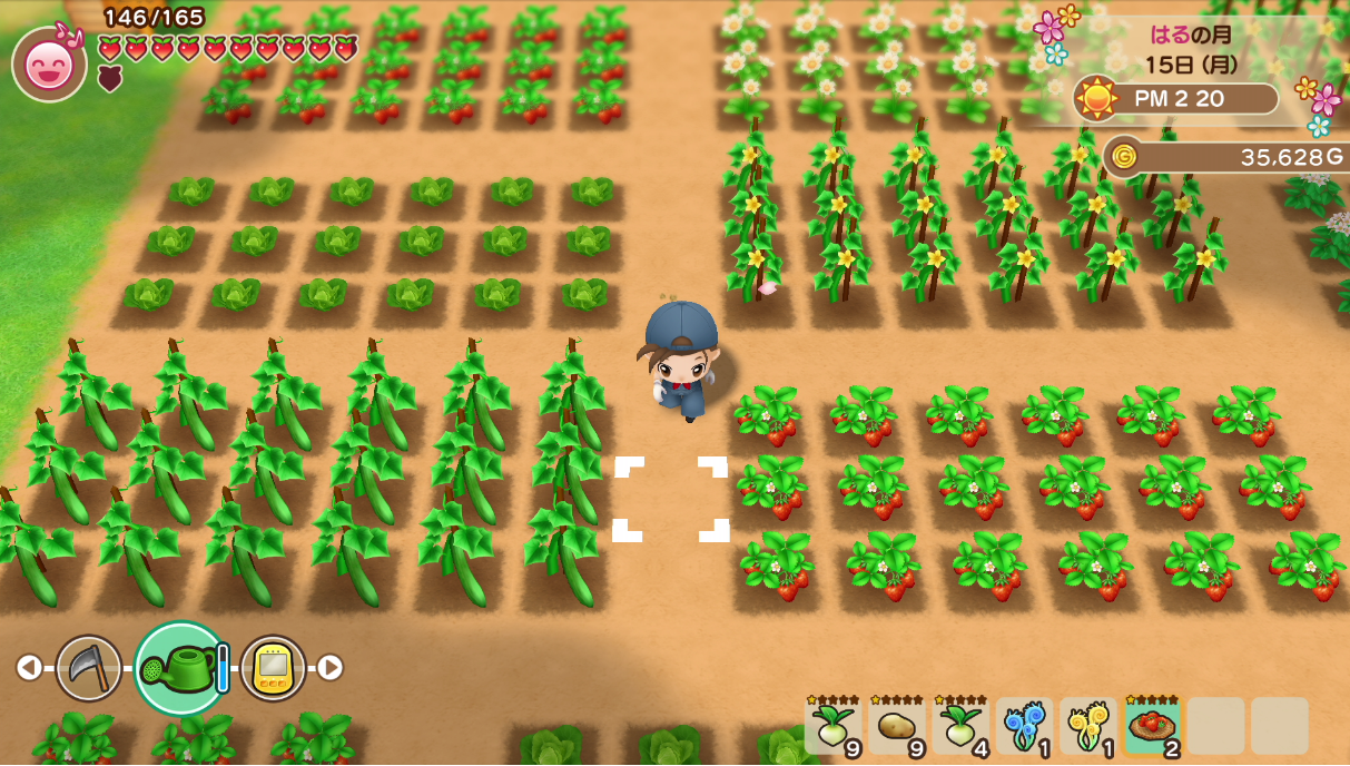 New Story of Seasons
