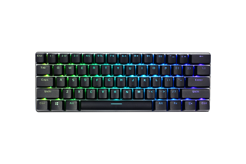 The Whirlwind FX ATOM : Greatness In A Small Package