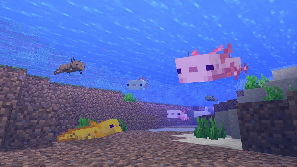 Minecraft Update 2.30 Patch Notes Today (September 30)