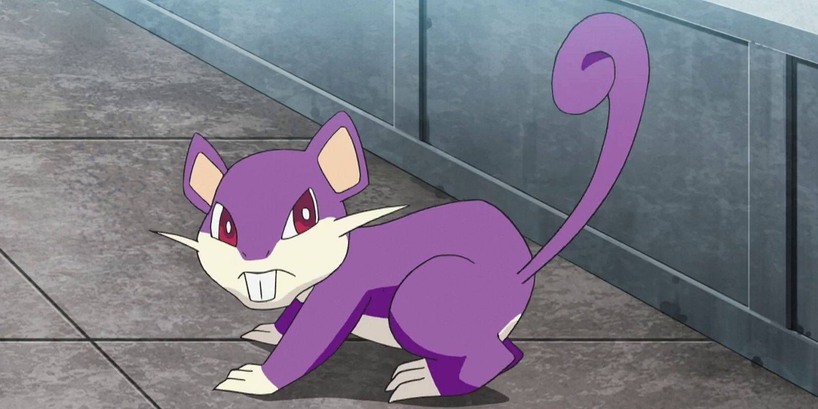 Is there a Shiny Rattata in Pokemon Go November Spotlight Hour 2021?