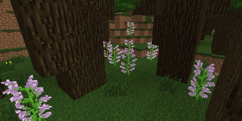 Minecraft - lilacs in forest