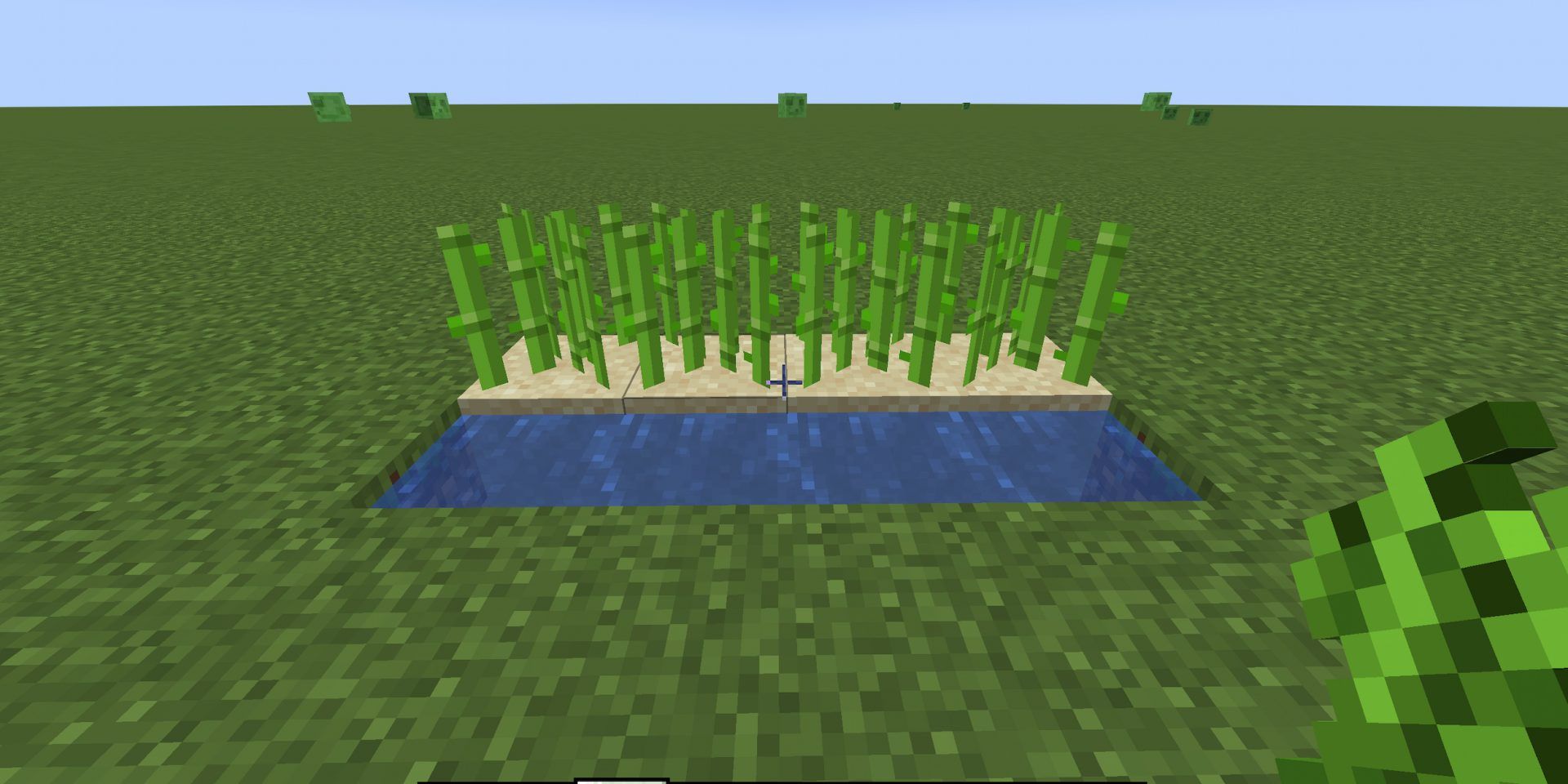api plants API Plant Growth Duo main image 1