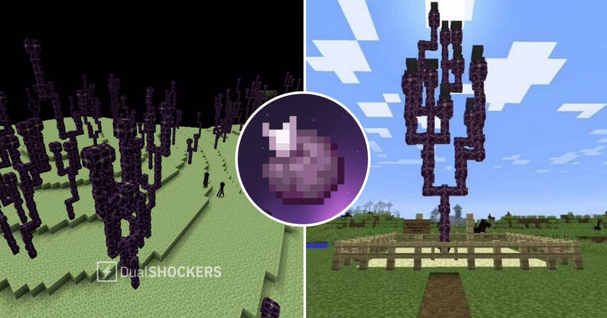 Minecraft Chorus Fruit: How To Farm And What They're Used For
