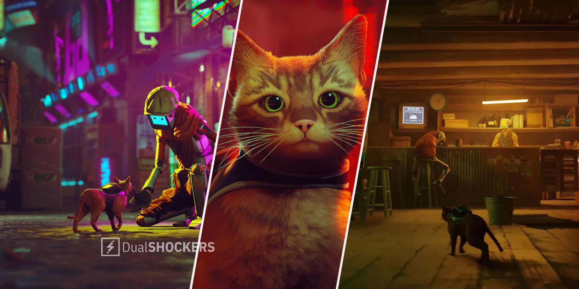 Stray robot petting the cat on left, cat in middle, cat wandering on right