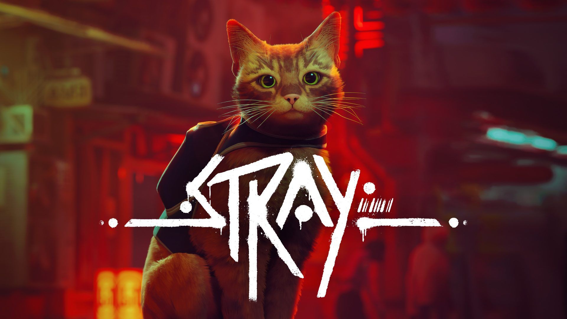 stray update 1.03