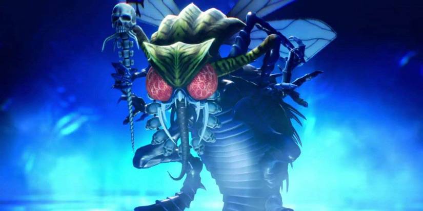philodendron bipinnatifidum selloum hope Philodendron bipinnatifidum Hope