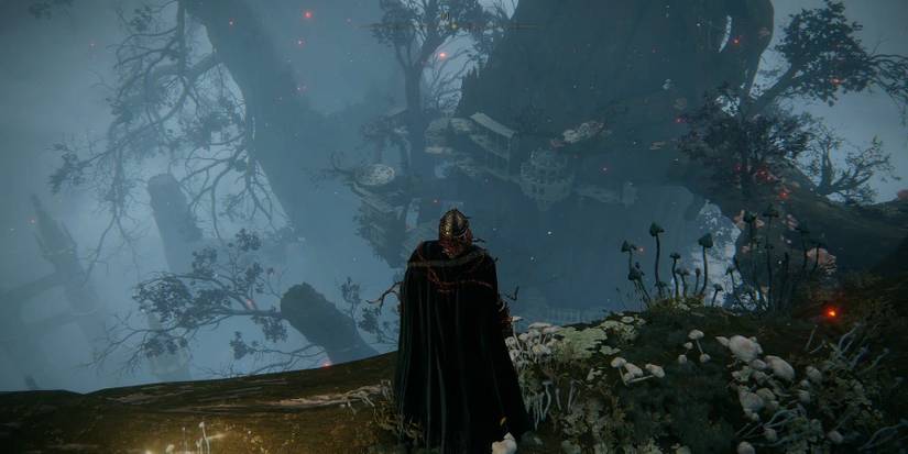 Elden Ring: 10 Hidden Areas You Probably Missed