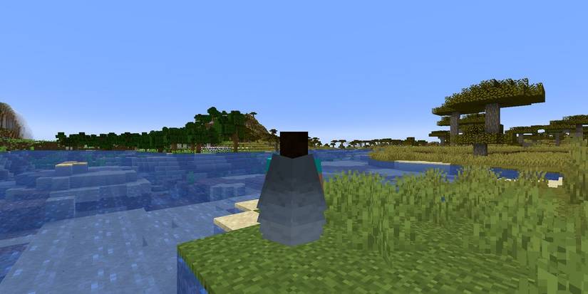 Minecraft - Steve with elytra wings