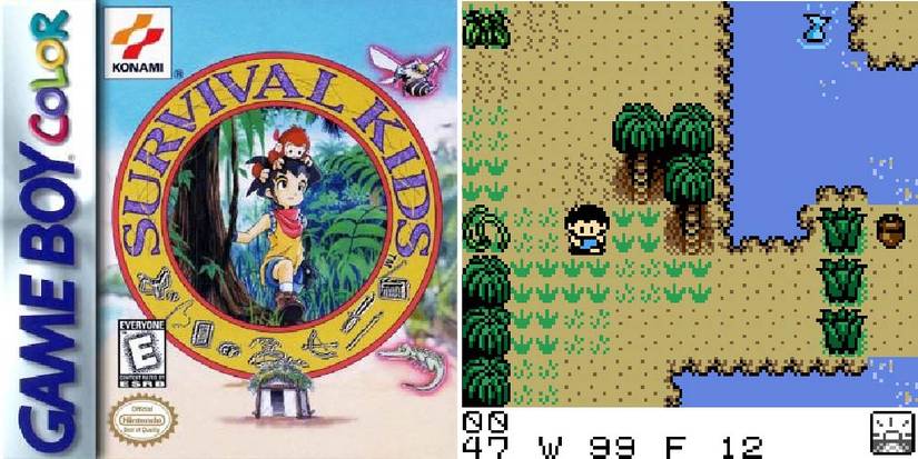 10 Best Gameboy Color Games Ever Made, Officially Ranked