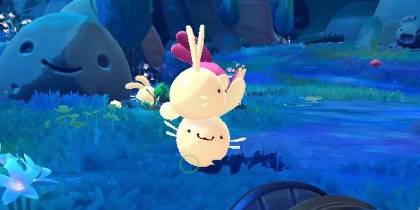 Slime Rancher 2: Basic Slimes Guide