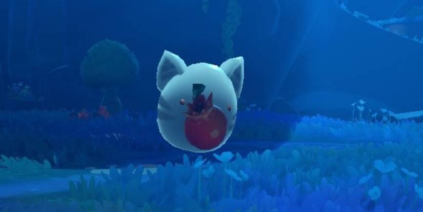 Slime Rancher 2: Basic Slimes Guide