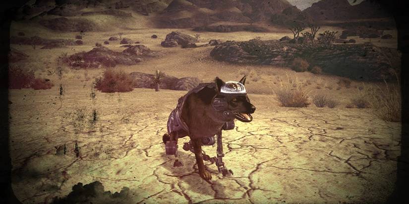 Fallout New Vegas: Every Companion, Ranked
