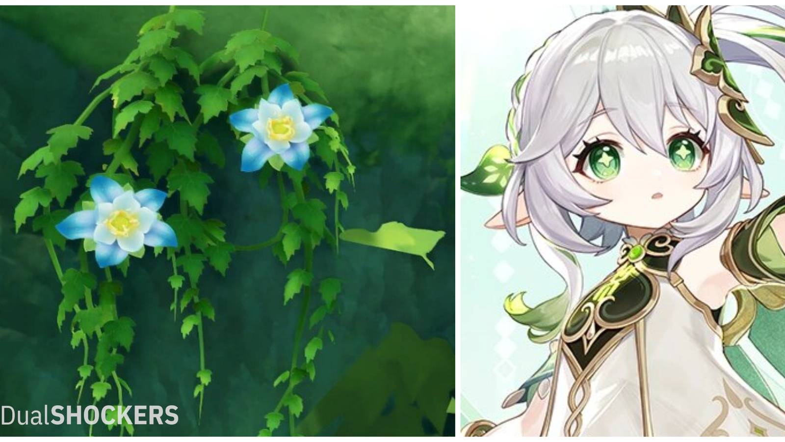 Genshin Impact: How To Farm Kalpalata Lotus & All Locations