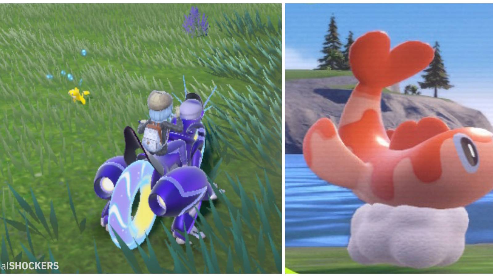 Pokemon Scarlet & Violet: How To Get Tatsugiri