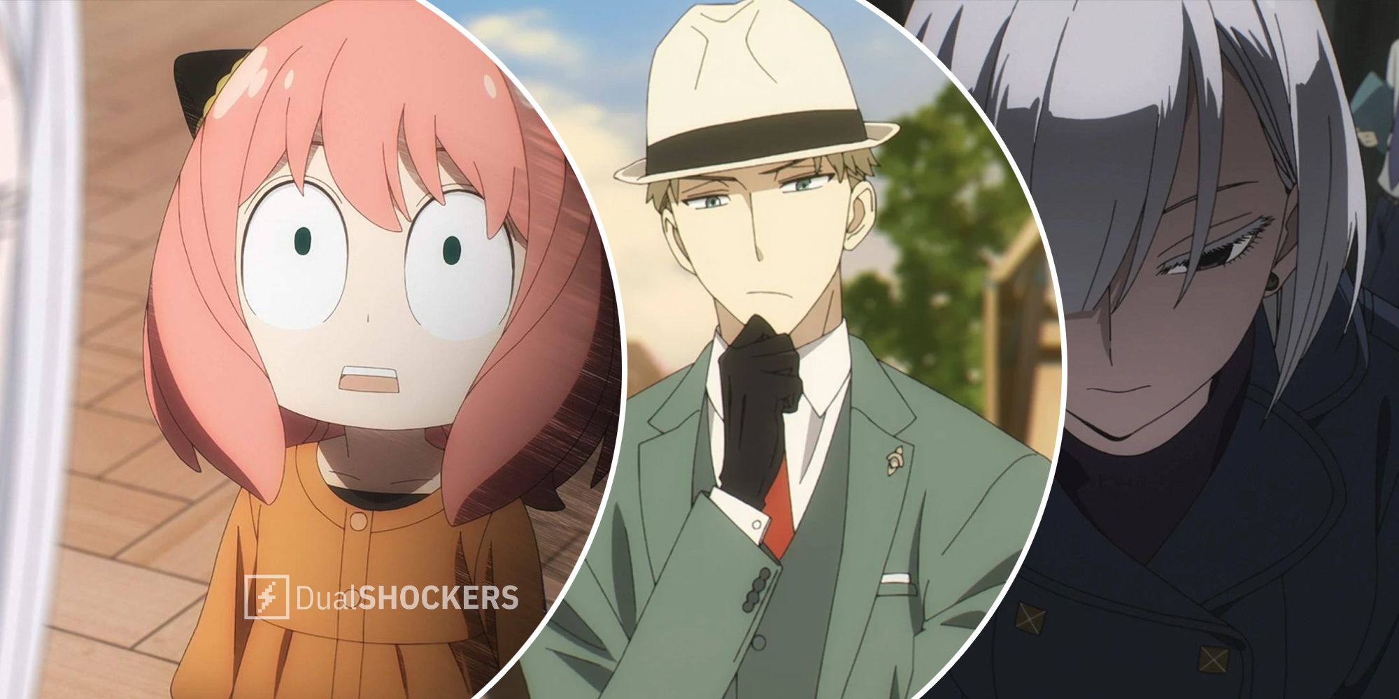 Spy X Family Zoro Tv
