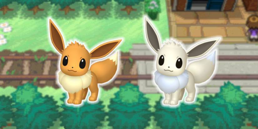 Pokemon-Shiny-Regular-Eevee