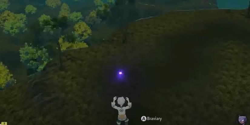 Pokemon Legends Arceus: All Crimson Mirelands Wisp Locations