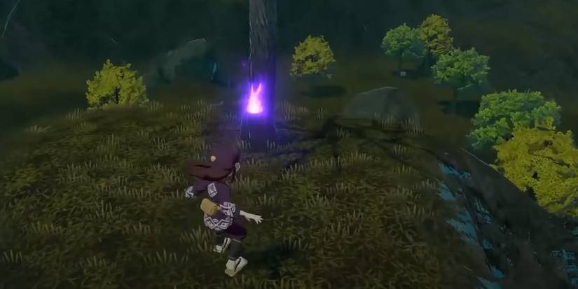 Pokemon Legends Arceus: All Crimson Mirelands Wisp Locations