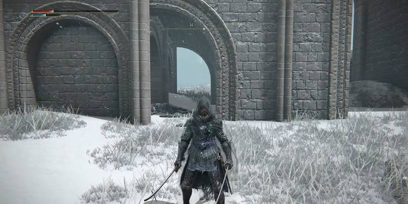 Briar Set Elden Ring: 10 Best Armor Sets In The Game, Ranked