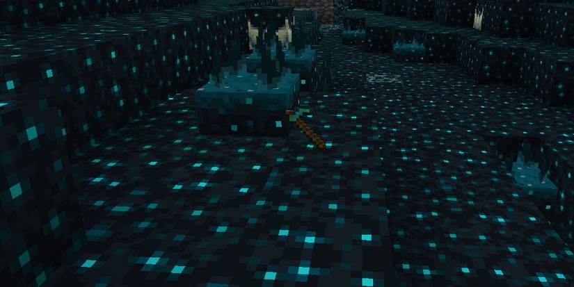 Deep Darkness Rift Minecraft: How To Safely Navigate The Deep Dark