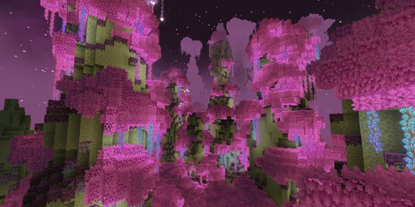 Minecraft: 10 Best Curseforge Modpacks