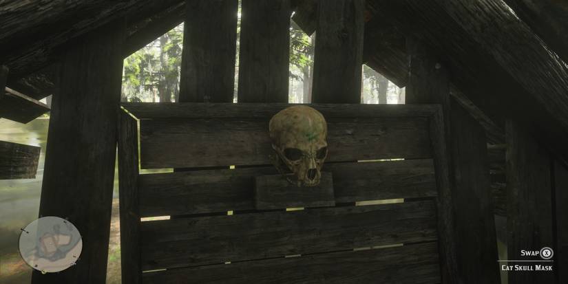 Red Dead Redemption 2: All Large Mask Locations