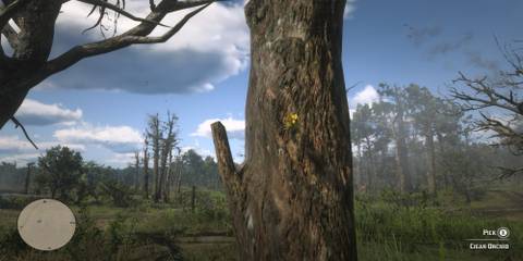 Red Dead Redemption 2: All Exotics Locations