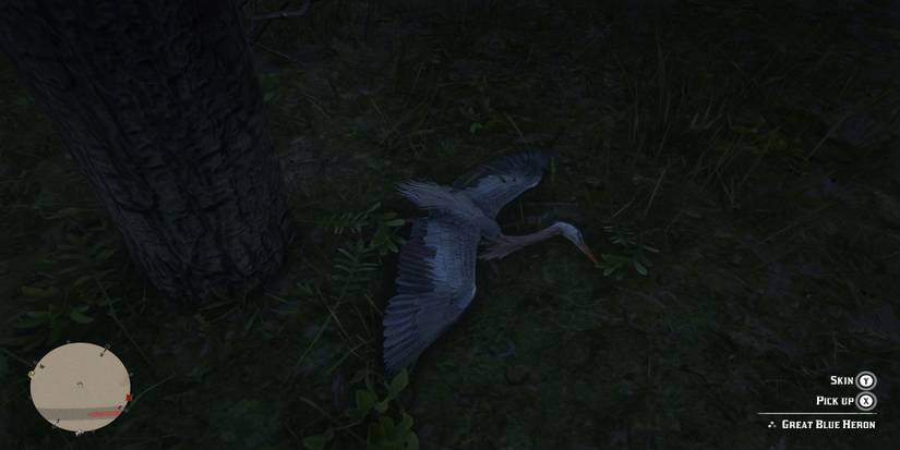 Red Dead Redemption 2: All Exotics Locations