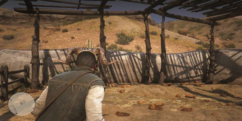 Red Dead Redemption 2: All Large Mask Locations