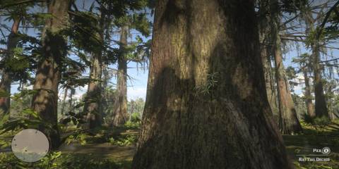 Red Dead Redemption 2: All Exotics Locations