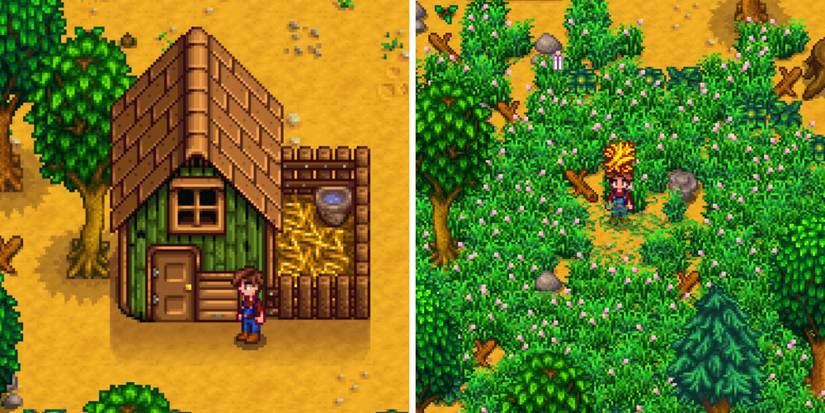On the left, the player stands in front of a completed Coop on the Farm. On the right, the player scythes a field of grass and collects Hay.