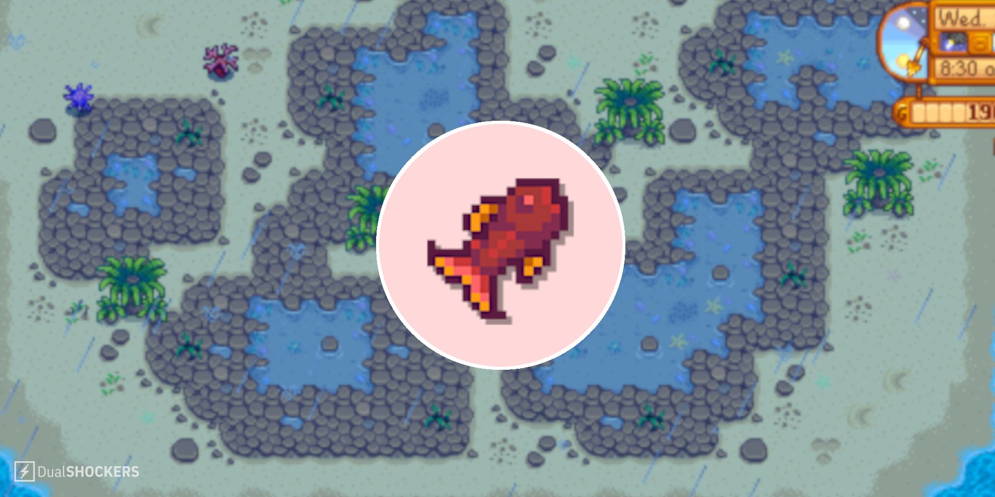 Stardew Valley: How To Catch Crimsonfish