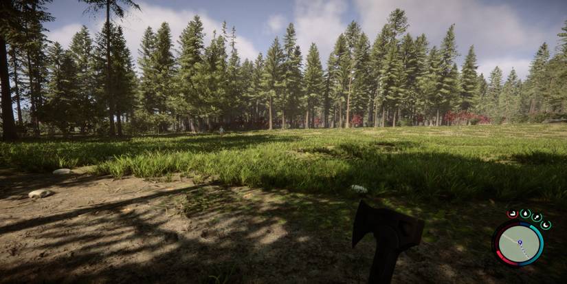 Sons Of The Forest: How To Survive The First Night
