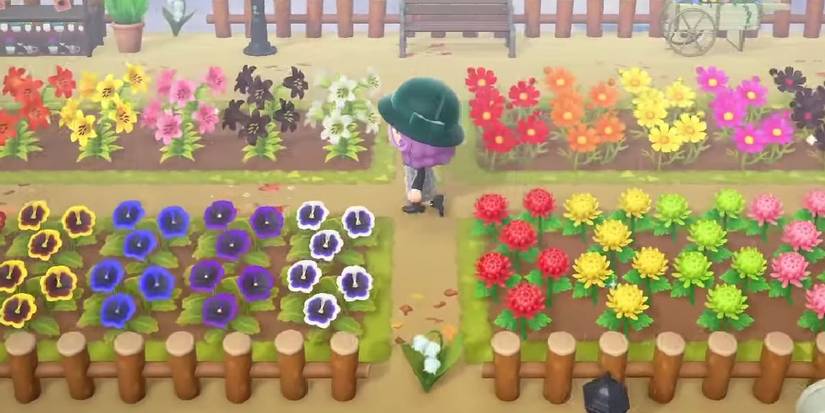 Animal Crossing: New Horizons - Hybrid Flowers Guide