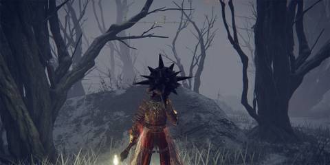 Elden Ring: What To Do After Beating Morgott