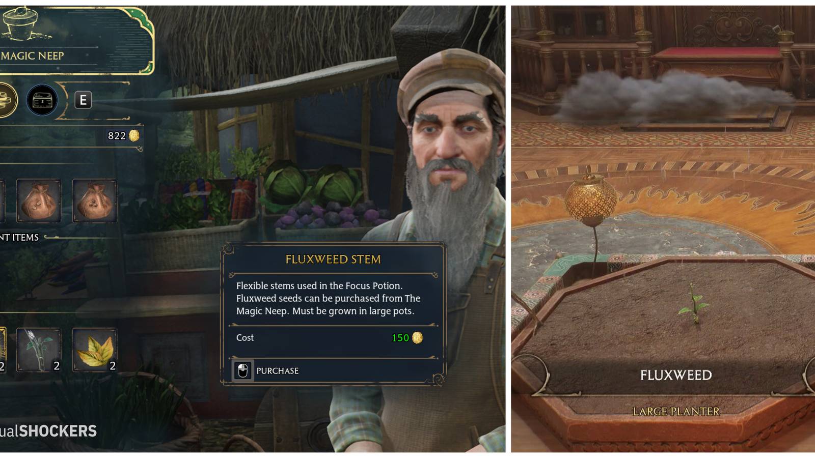 Hogwarts Legacy: How To Get Fluxweed Stem For Focus Potion