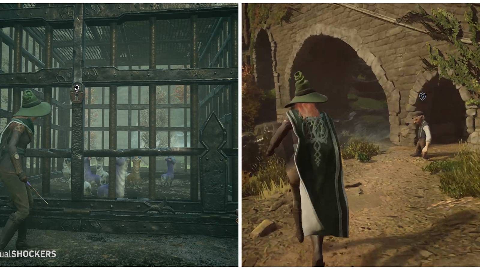 Hogwarts Legacy: How To Save Biscuit In Take The Biscuit Quest