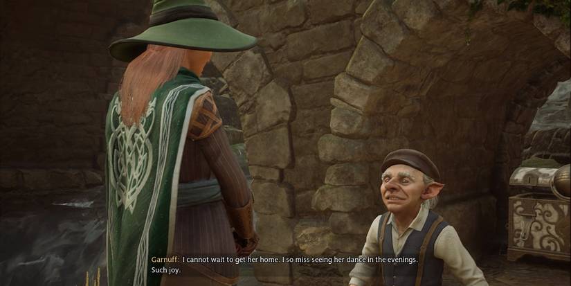 Hogwarts Legacy: How To Save Biscuit In Take The Biscuit Quest
