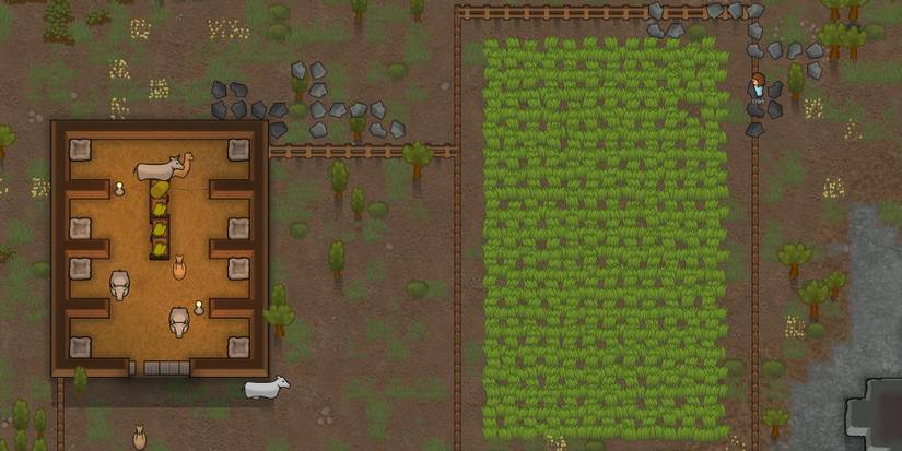 RimWorld: Animal Feeding Guide