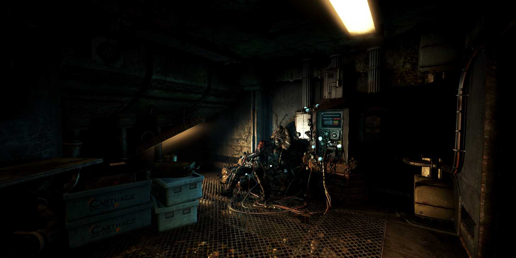 soma-2-1