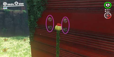 Super Mario Odyssey: All Purple Coins In The Wooded Kingdom