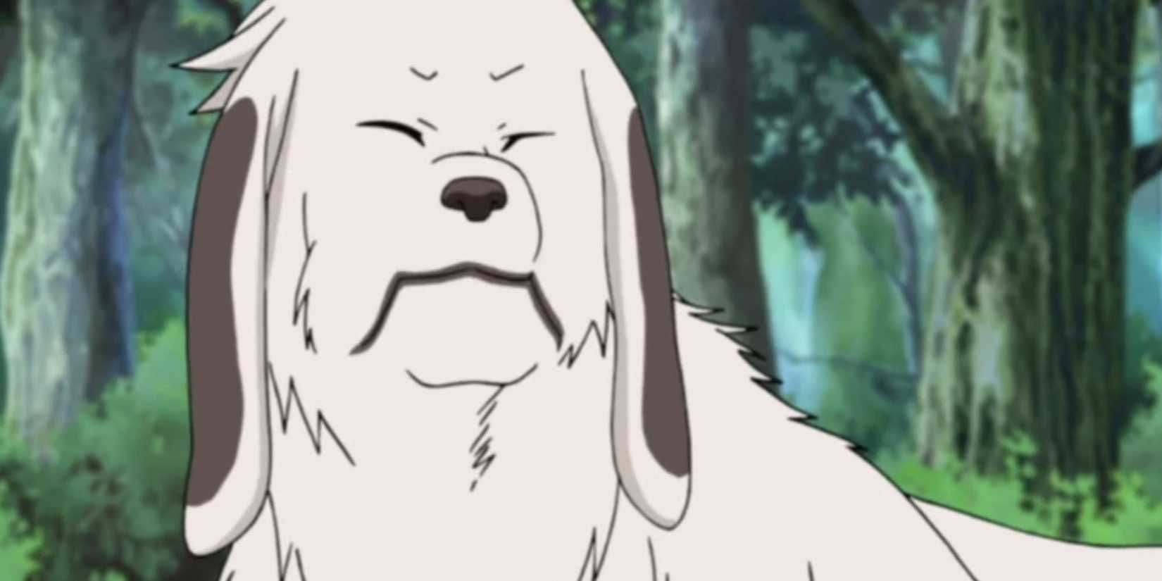 The Adorable Animal Companions in Anime