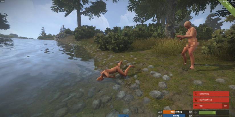 Rust: 10 Tips & Tricks For Beginners