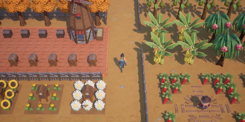 The player in the middle of her farm, on the right crops, and on the left bees, and barrels