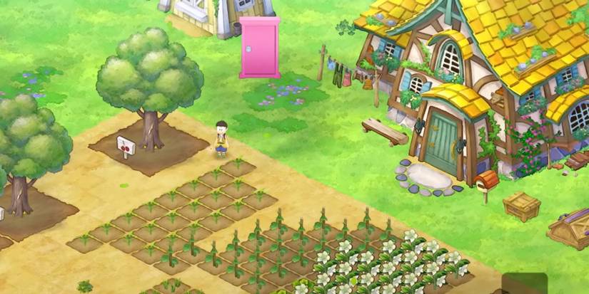 Player at his farm, his house on the right, and at the bottom his crops