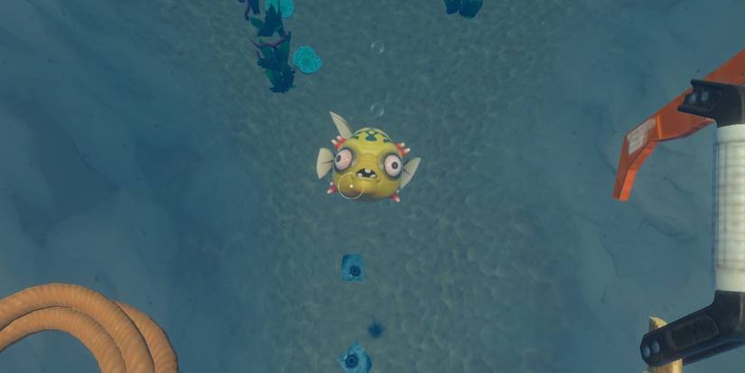 Raft: How To Get Explosive Powder